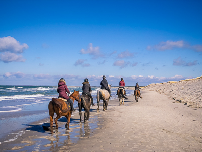 Ostsee Website x300 1 01286